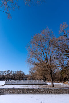 冬天雪后的中国沈阳北陵公园