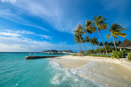 马尔代夫椰林水屋海景