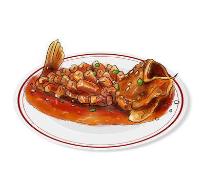 松鼠魚(yú)