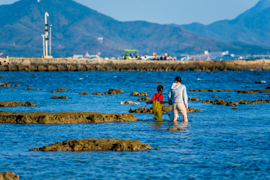 西岛赶海