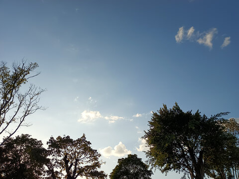 仰望天空