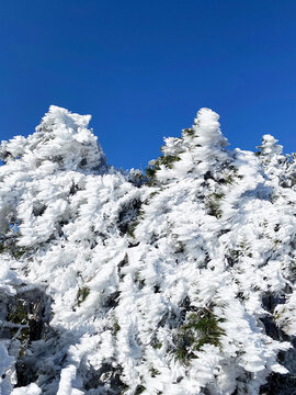 太子尖雪景