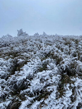 太子尖雪景