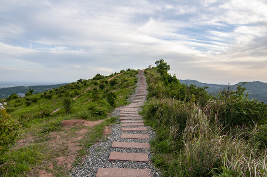 上山的路