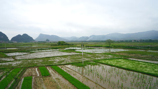 平乐阳安水田风光