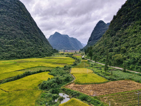 黔东南旅游茂兰喀斯特森林