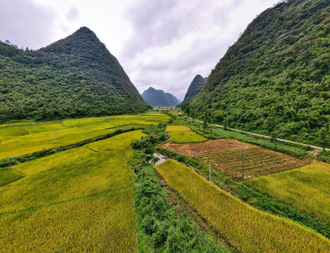 黔东南旅游茂兰喀斯特森林