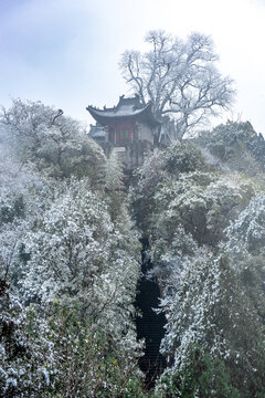 午子观雪景