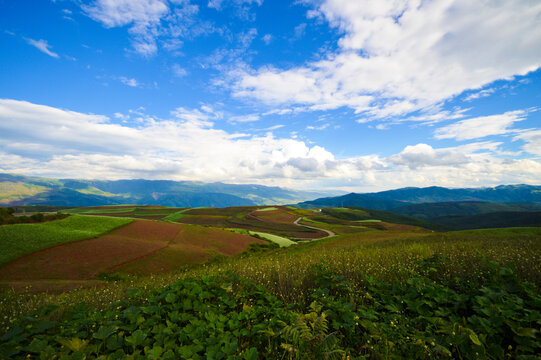 东川红土地