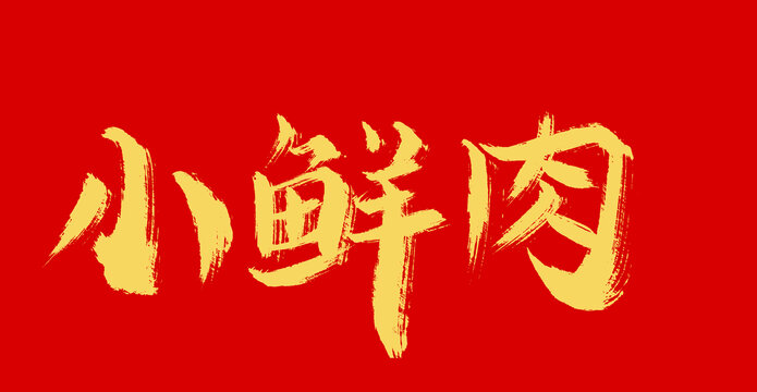 小鮮肉