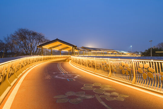 唐昌绿道夜景