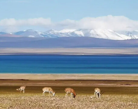 新疆旅游自然景观