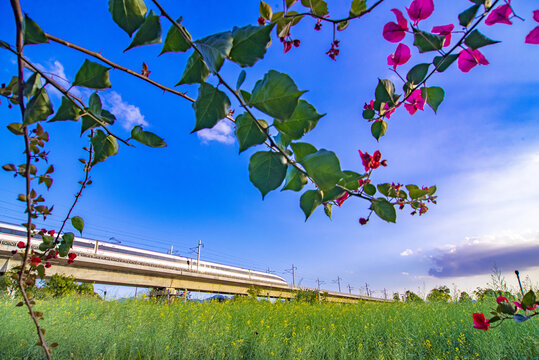 花田的高铁