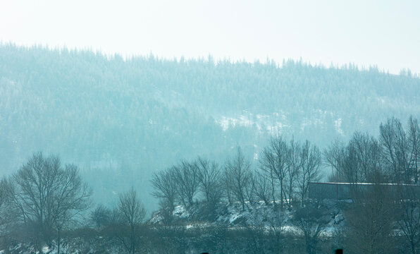 北方雪景