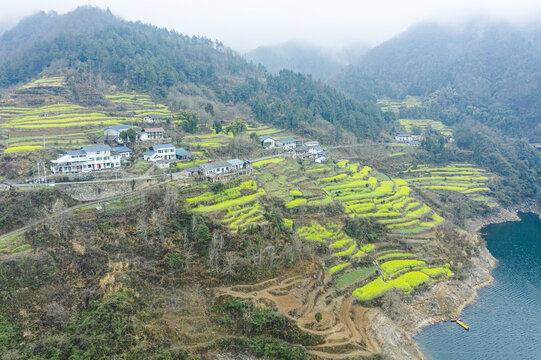 山区梯田油菜花山村