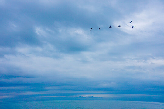 青海湖风光