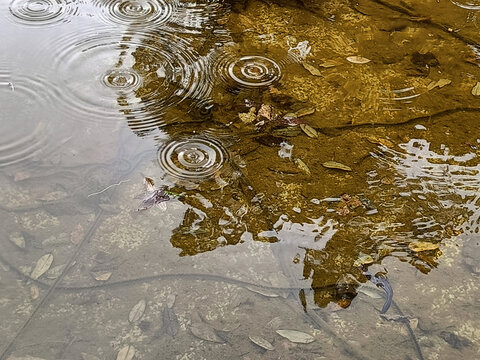 雨滴水波波光粼粼