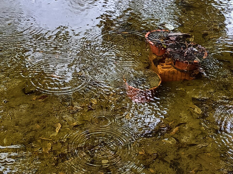 雨滴水波波光粼粼