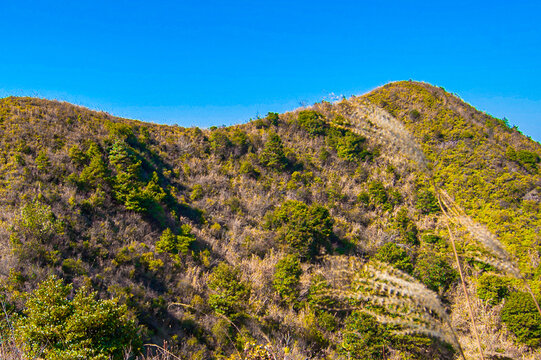 天竺岭风光