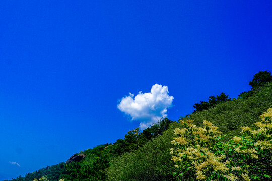 阳台山