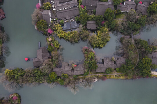 杭州西溪湿地初春梅花盛开