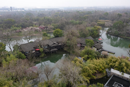 杭州西溪湿地初春梅花盛开航拍