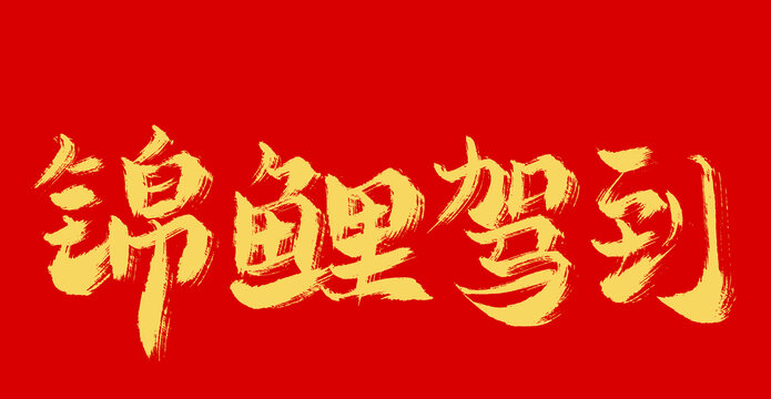 錦鯉駕到
