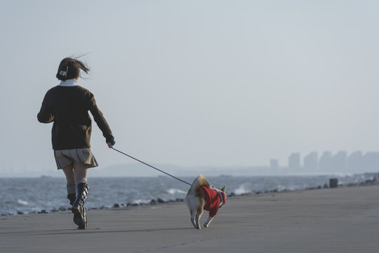 女孩在海边牵着柴犬看海