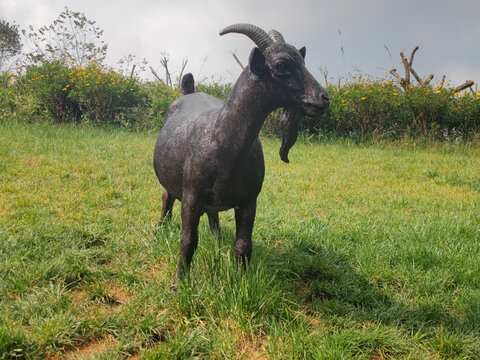 黑山羊雕塑