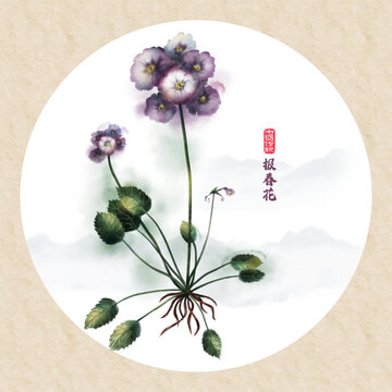 報(bào)春花