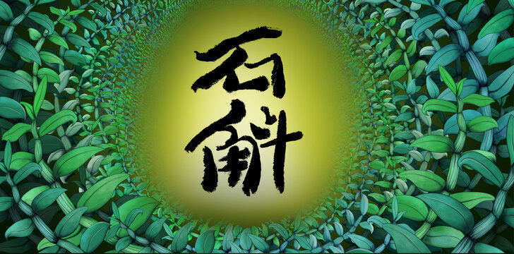 石斛插畫