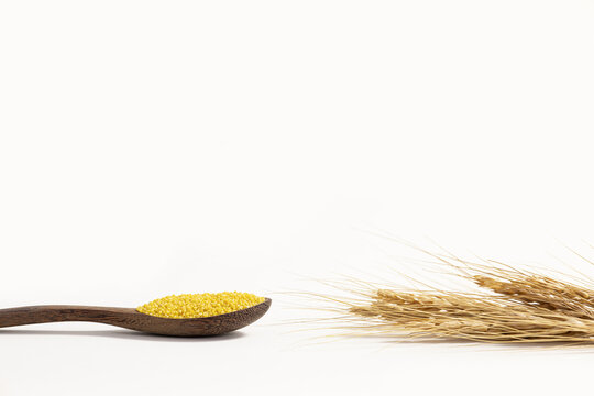 小米粗粮麦穗图片