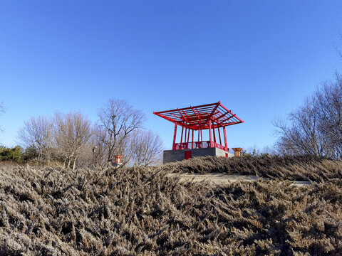 北京大望京公园风光