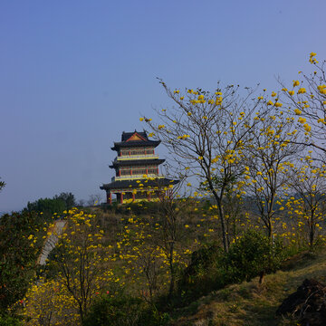 寺庙建筑