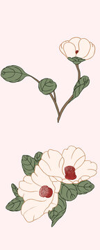國(guó)風(fēng)花卉牡丹