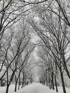 冬季雪景街道