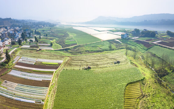 希望的田野