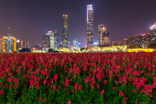 广州海心沙花海与珠江新城夜景