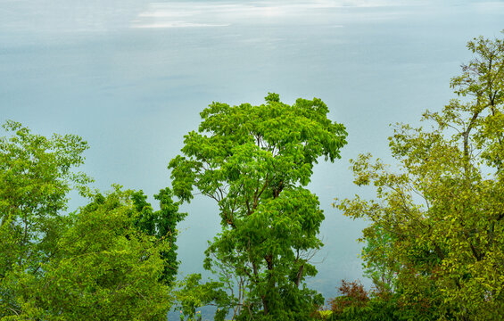 绿色森林树木湖泊自然风光