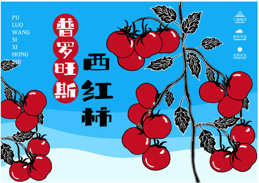 西紅柿
