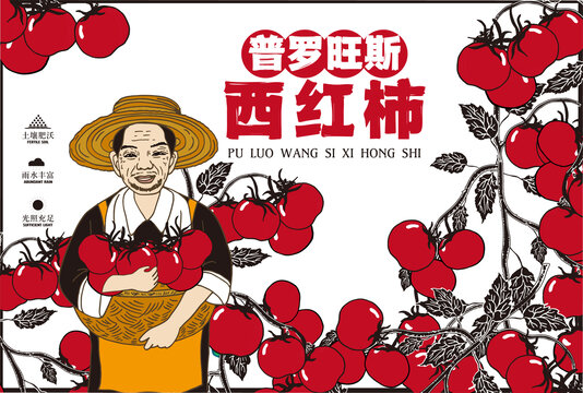 西紅柿包裝