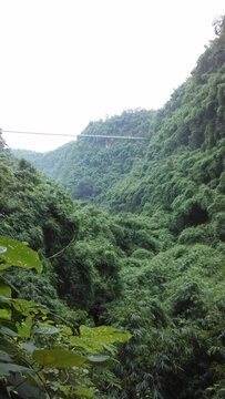 高山竹海