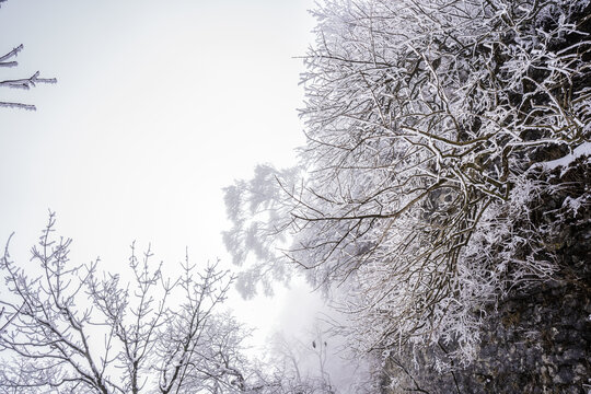 雪淞