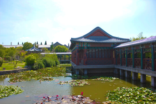 西花厅的庭院