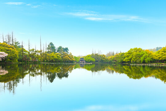 杭州西湖春景乌龟潭樱花