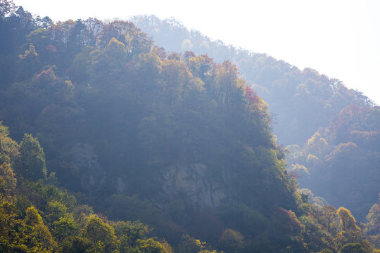 秦岭山