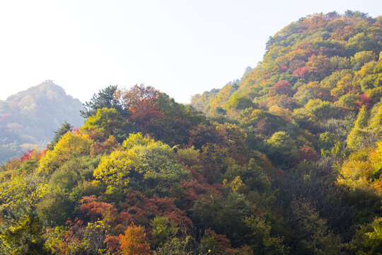 秦岭风光