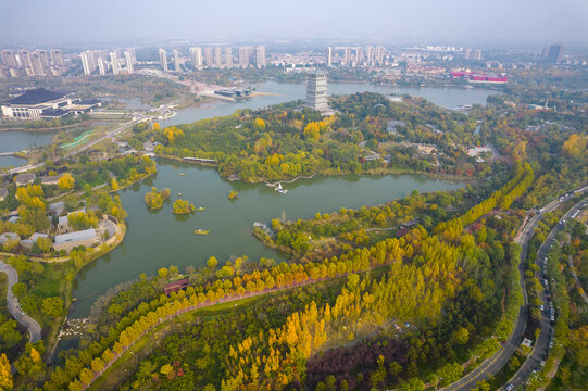 灞河湿地