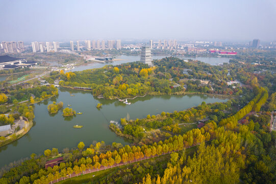 灞河湿地