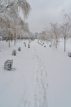 冬天中国沈阳浑河的雪地雾凇